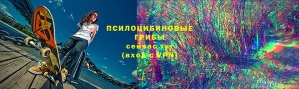 бутират Снежногорск