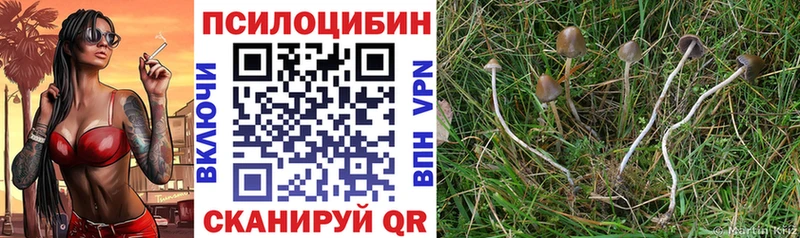 Псилоцибиновые грибы GOLDEN TEACHER  продажа наркотиков  Первомайск 